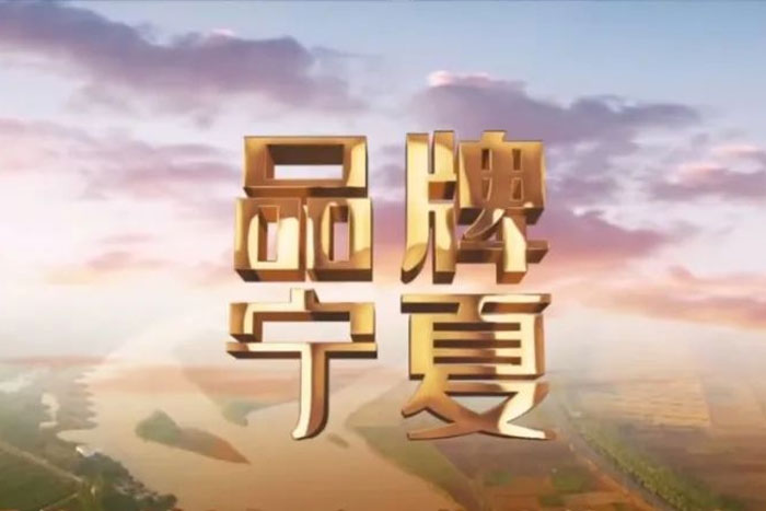 來自寧夏衛(wèi)視《品牌寧夏》欄目對巨能的報道